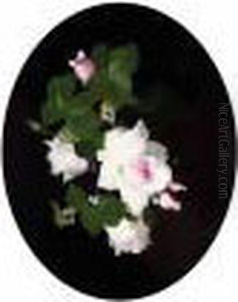 Pink Roses Oil Painting by James Stuart Park