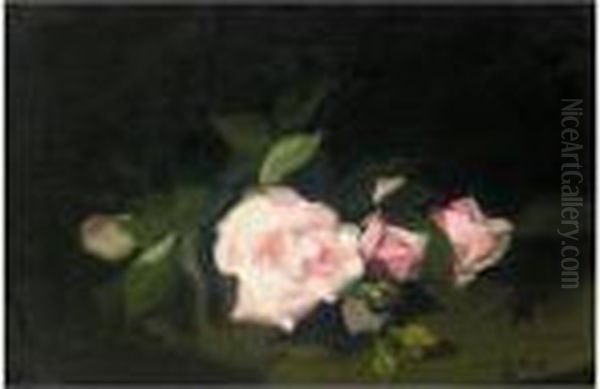 Pink Roses Oil Painting by James Stuart Park