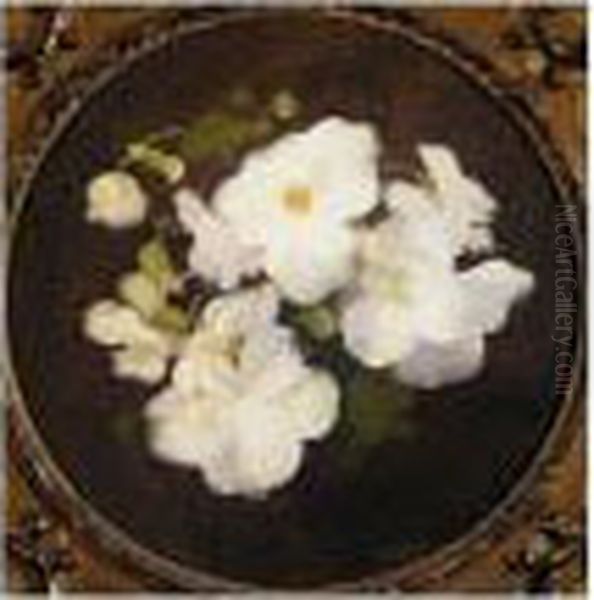 Pink Roses; White Begonias Oil Painting by James Stuart Park