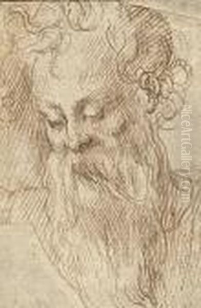 Head Of A Bearded Man Oil Painting by Girolamo Francesco Maria Mazzola (Parmigianino)