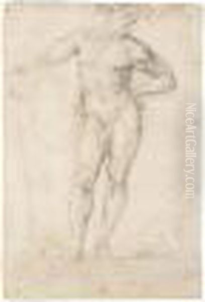 A Standing Male Nude Oil Painting by Girolamo Francesco Maria Mazzola (Parmigianino)