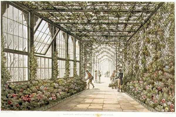 Corridor of a Conservatory, engraved by Joseph Constantine Stadler fl.1780-1812 from Designs for the Pavilion at Brighton, pub. 1808 Oil Painting by Humphry Repton