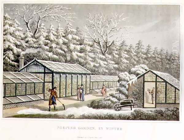 Forcing Garden in Winter, from Fragments on the Theory and Practice of Landscape Gardening, pub. 1816 Oil Painting by Humphry Repton