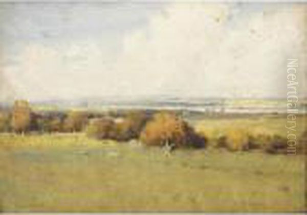 A Dumfriesshire Meadow, Kirkconnel Oil Painting by James Paterson