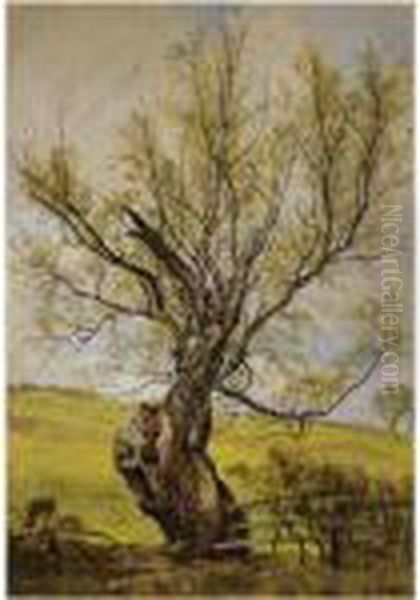 An Ancient Willow In The Grounds Of Hermitage Castle, Roxburghshire Oil Painting by Waller Hugh Paton