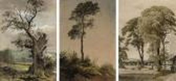 Three Studies Of Trees In Various Landscapes (all Illustrated) Oil Painting by Waller Hugh Paton