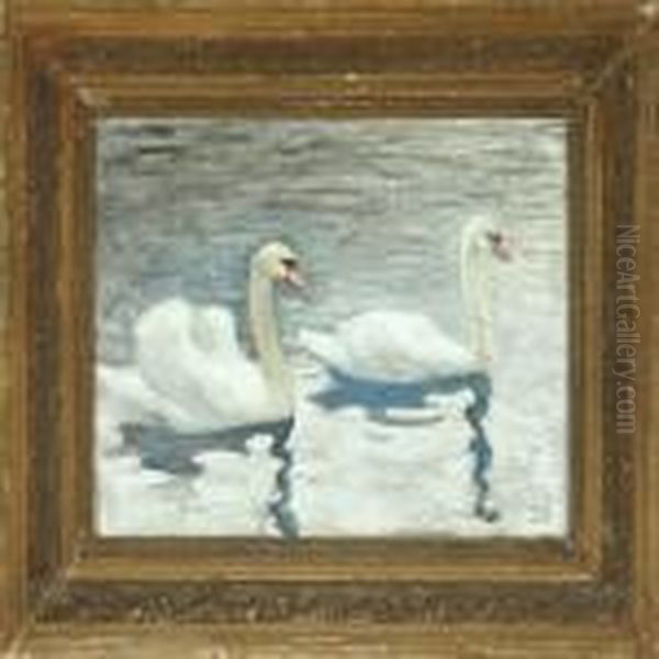 Swans Oil Painting by Julius Paulsen