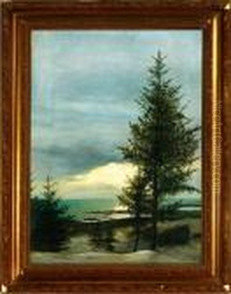 A Coastal Scenery With Pines, Winter Oil Painting by Julius Paulsen