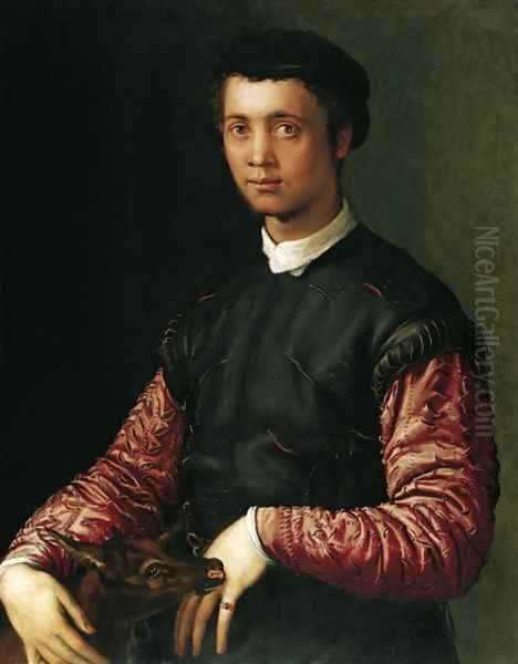 Portrait of a Young Man 1548 Oil Painting by Francesco de' Rossi