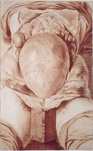 MS Hunter 658 Plate XXVI Drawing from William Hunters 1718-83 Anatomy of the Human Gravid Uterus, 1774 Oil Painting by Jan van Rymsdyk