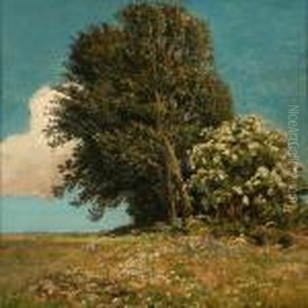 A Small Mound Withtrees On A Field Oil Painting by Viggo Christian Frederick Pedersen