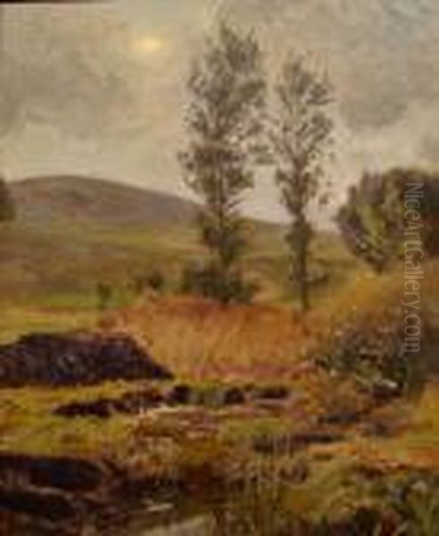 Peat On A Danish Moor Oil Painting by Viggo Christian Frederick Pedersen