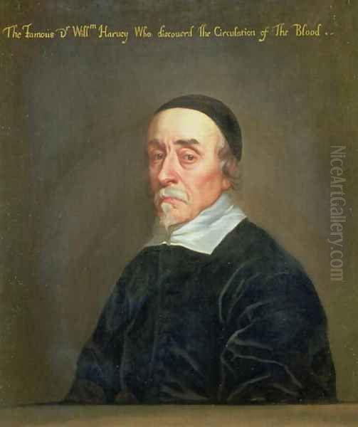 Portrait of William Harvey 1578-1657 Oil Painting by John Riley