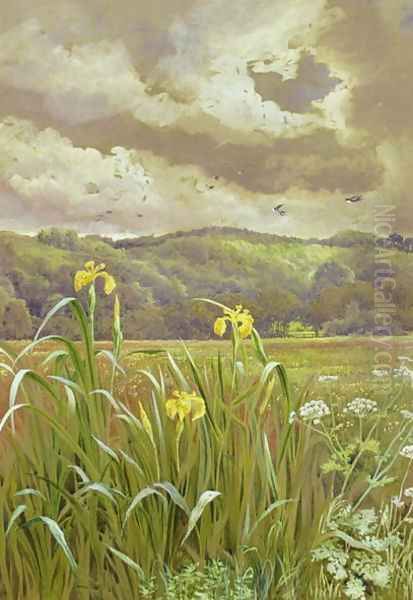 Irises and Cow Parsley Oil Painting by Charles Robertson