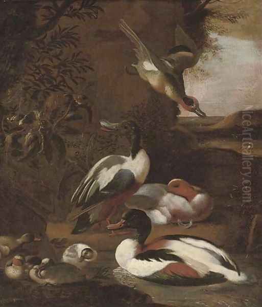 Ducks in a landscape Oil Painting by Willem Frederik van Royen