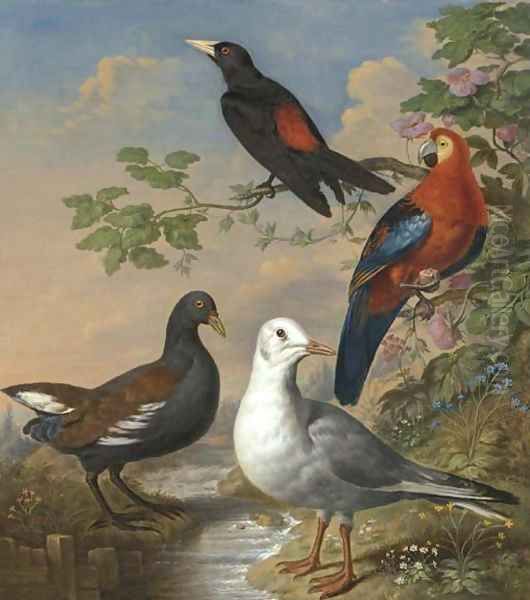 A Moorhen, A Gull, A Scarlet Macaw And Red-Rumped A Cacique By A Stream In A Landscape Oil Painting by Philip Reinagle