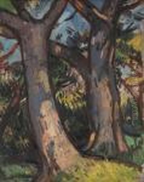 Trees At Douglas Hall Oil Painting by Samuel John Peploe