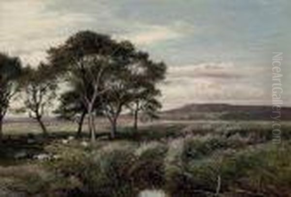 A Reedy Meadow, North Wales Oil Painting by Sidney Richard Percy