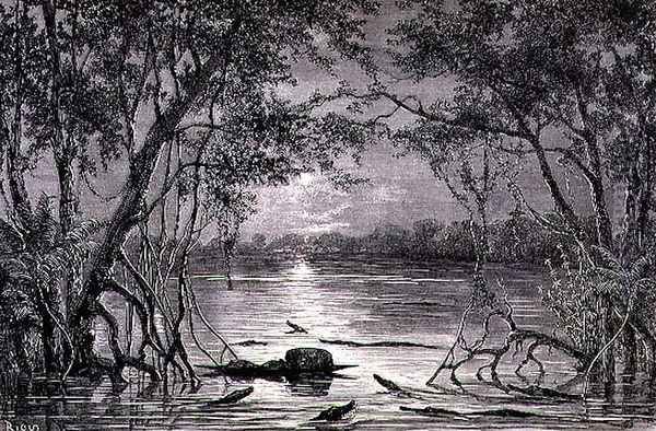 Moonlight Effect on the Lake Juteca, page 457 from Vol. 2 of Journey Across South America by P. Marcoy, 1873 Oil Painting by Edouard Riou