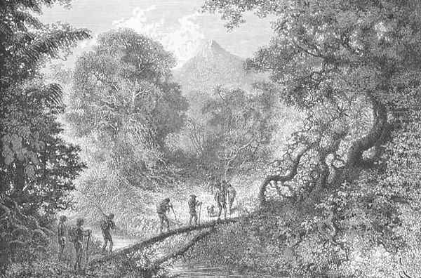 Crossing a Stream along a Fallen Tree, engraved by C. Laplante, page 79 from Voyages in South America by J. Crevaux, 1883 Oil Painting by Edouard Riou