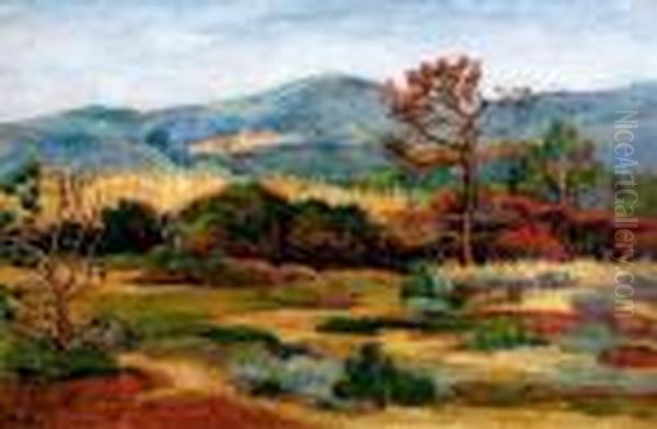 Les Environs De Bormes-les-mimosas Oil Painting by Jean Peske