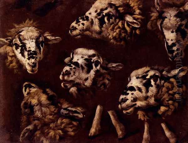 A Study Of Heads Of Sheep Oil Painting by Johann Melchior Roos