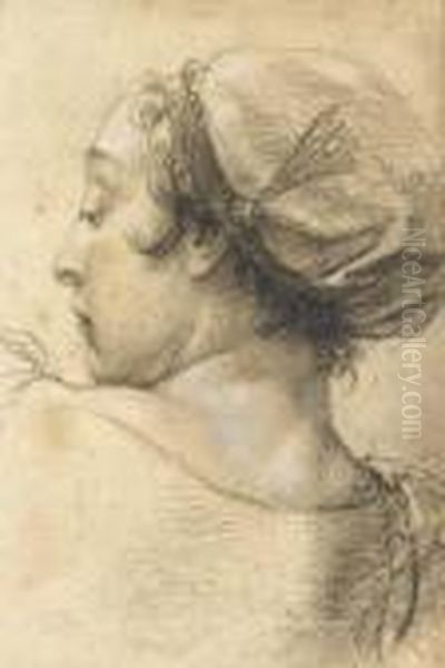 The Head Of Woman Turned To The Left Oil Painting by Giovanni Battista Piazzetta