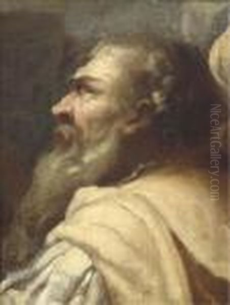 Study Of A Bearded Man In Profile Oil Painting by Giovanni Battista Piazzetta