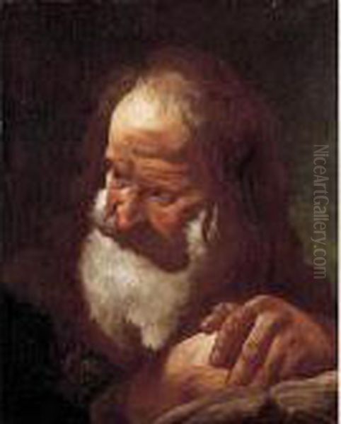 Testa Di Vecchio Oil Painting by Giovanni Battista Piazzetta