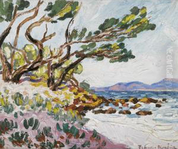 L'ile Sainte Marguerite Oil Painting by Francis Picabia