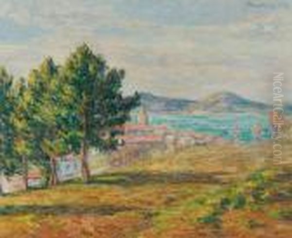 Saint-tropez, 
Vue De Lacitadelle Oil Painting by Francis Picabia