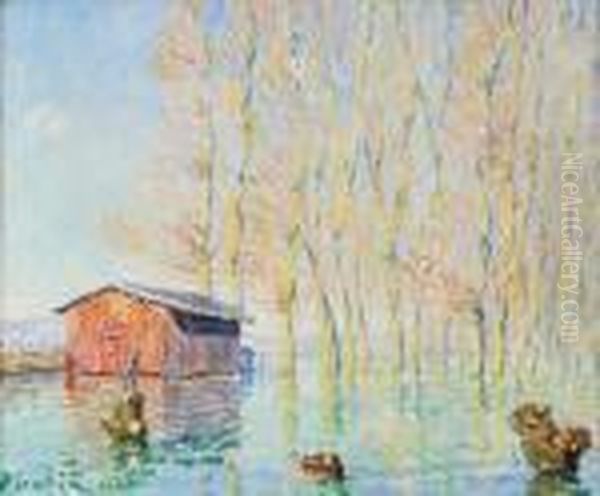 L'inondation, Effets De Soleil, Bords De L'yonne Oil Painting by Francis Picabia