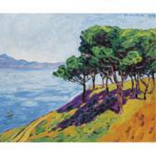 Les Pins, Effet De Soleil, St. Tropez Oil Painting by Francis Picabia