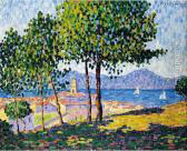 Saint Tropez, Effet De Soleil Oil Painting by Francis Picabia