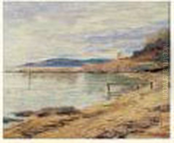 La Baie Des Cannoubiers Oil Painting by Francis Picabia