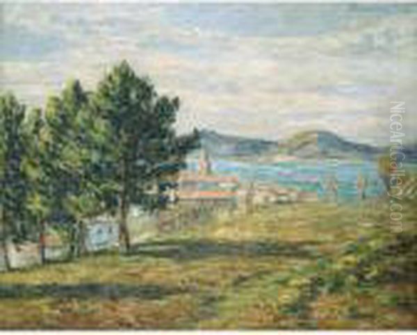 St. Tropez, Vu De La Citadelle Oil Painting by Francis Picabia