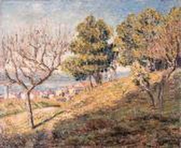 Vue De Saint-tropez Oil Painting by Francis Picabia