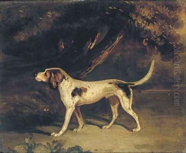 A favourite hound Oil Painting by John Samuel Raven