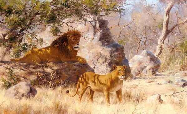 The Lions by Paul Rose