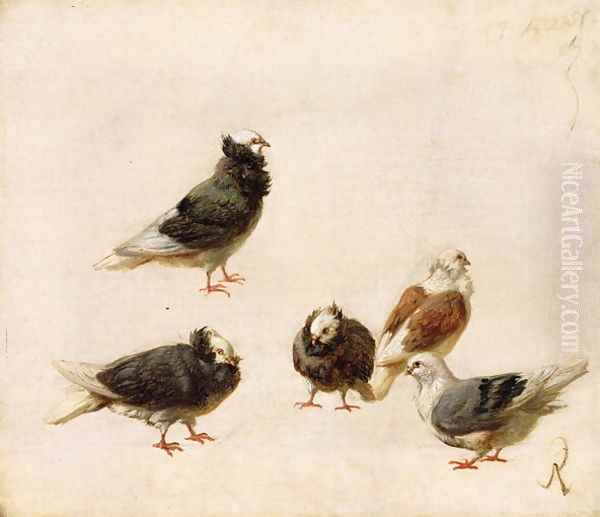 Pigeons, 1888 Oil Painting by Jose Ruiz Blasco