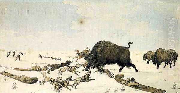 Buffalo Hunt Oil Painting by Peter Rindisbacher