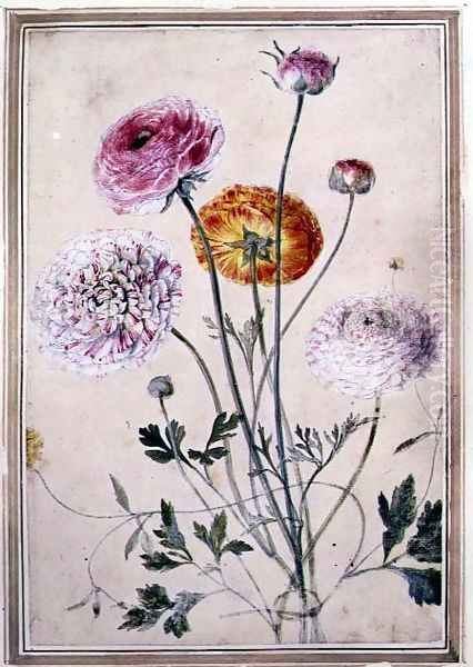 Flower Study, c.1760 Oil Painting by Thomas Robins