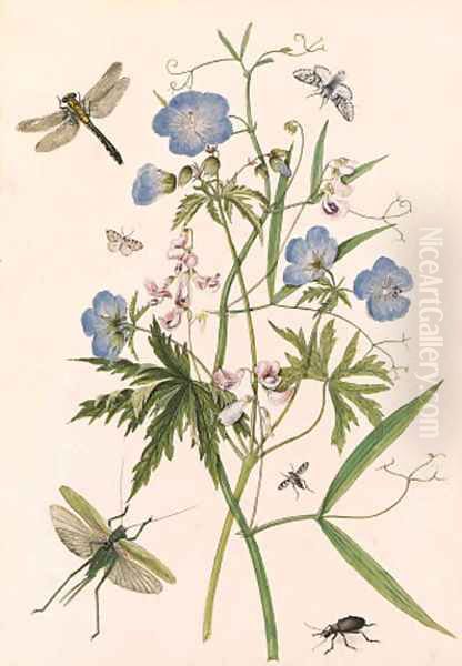 Meadow Crane's-bill, and Wild Pea with dragonflies and a stag beetle Oil Painting by Thomas Robins