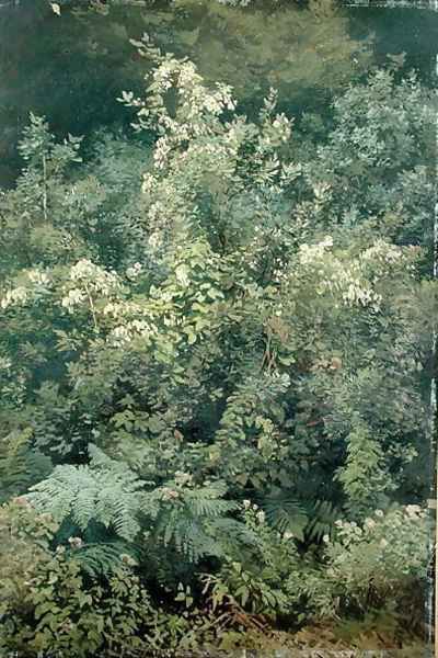 Hops and Ferns in Woodland, 1870 Oil Painting by Valentin Ruths