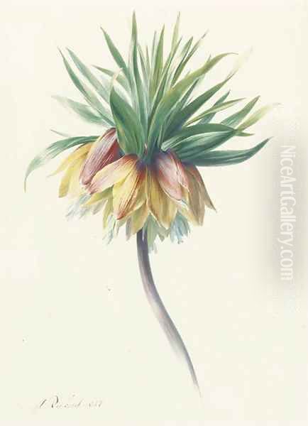 Fritillaria imperialis (Crown Imperial) Oil Painting by Hendrik Reekers