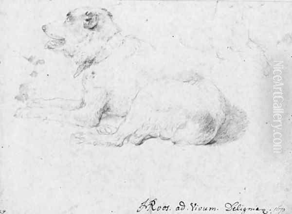 A dog lying down, with a partial subsidiary study of his forequarters in the opposite direction Oil Painting by Johann Heinrich Roos