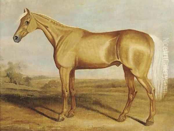 The racehorse Silvertail standing in an extensive landscape Oil Painting by James Russell Ryott