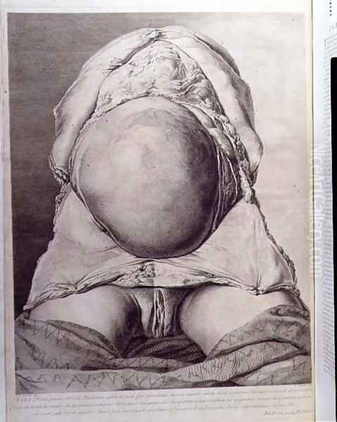 Anatomical drawing of the abdomen of a pregnant female human with skin peeled back, engraved by Francois Simon Ravenet 1706-74 pub. 1774 Oil Painting by Jan van Rymsdyk