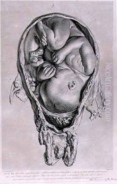 Anatomical drawing of a foetus in the womb, engraved by Francois Simon Ravenet 1706-74 pub. 1774 Oil Painting by Jan van Rymsdyk