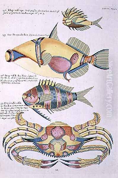 Three Fish and a Crab, plate 34 from Vol 2 of Fish, Crayfish and Crabs, pub. 1754 Oil Painting by Renard, Louis